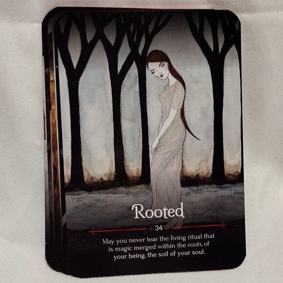 Seasons of the Witch: Samhain Oracle - Picture 11 of 13